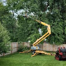 How Our Tree Care Process Works  in Spinnerstown, PA